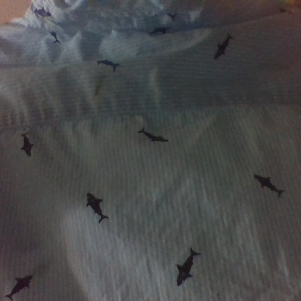 Buttoned Tshirt - Picture 3 of 6